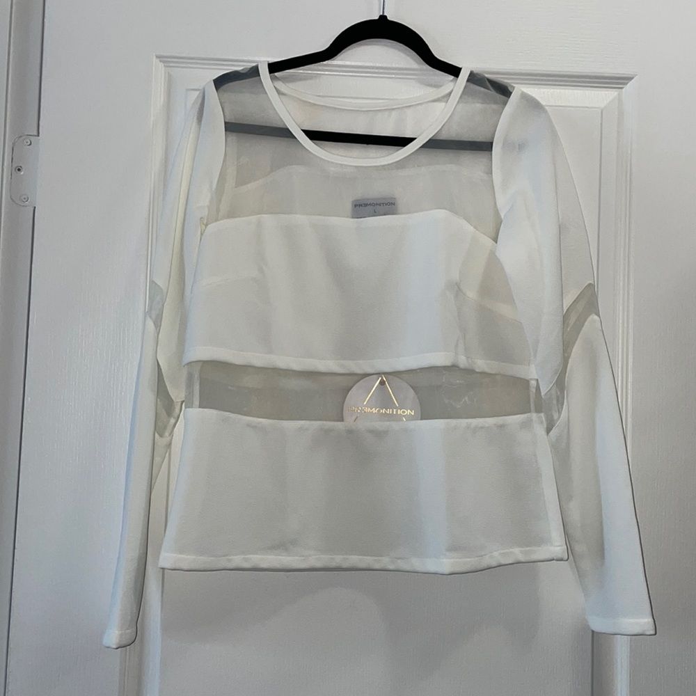 Premonition Sheer Panel Top